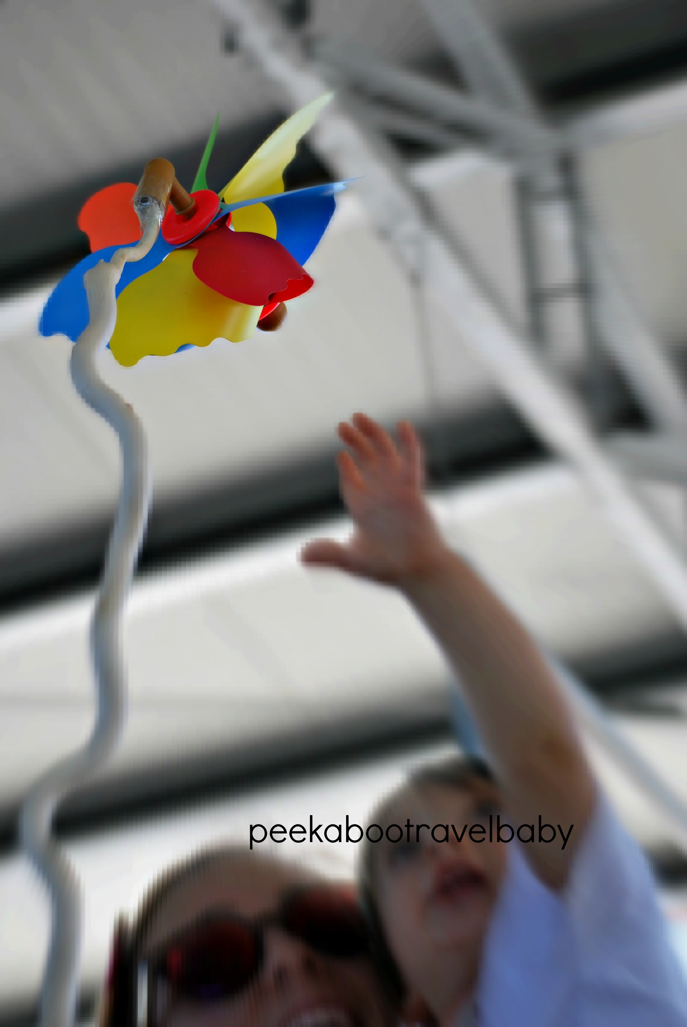 Pagine in fiore (20)