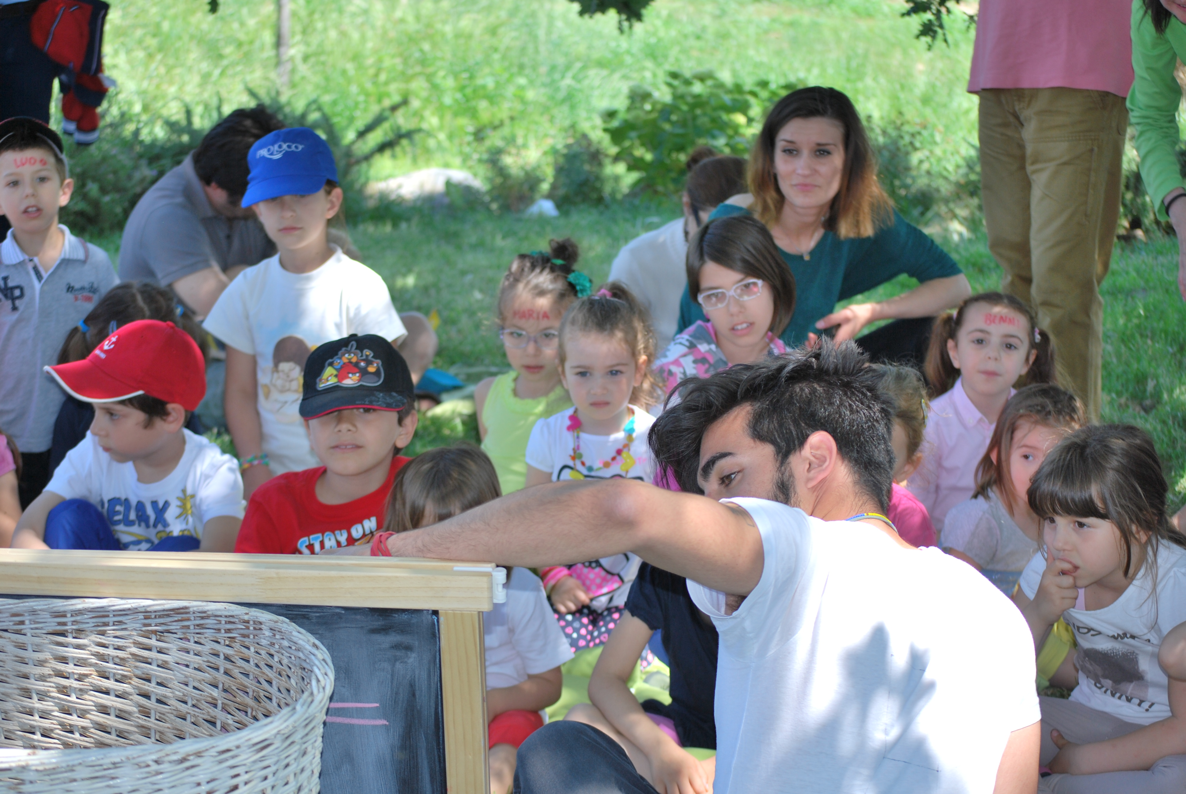 Pagine in fiore (25)