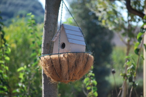 Fattoria Fiorano con bambini