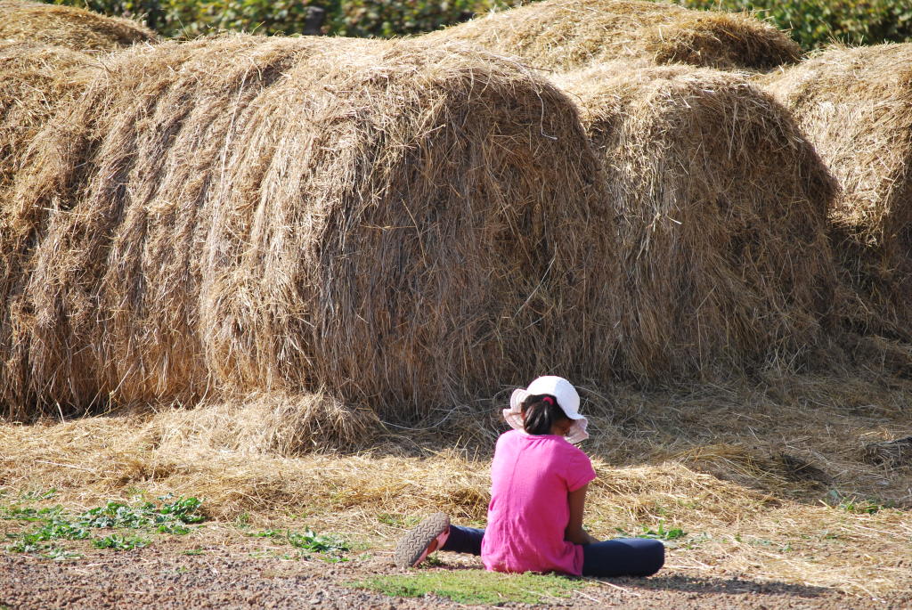 Fattoria Fiorano bambina