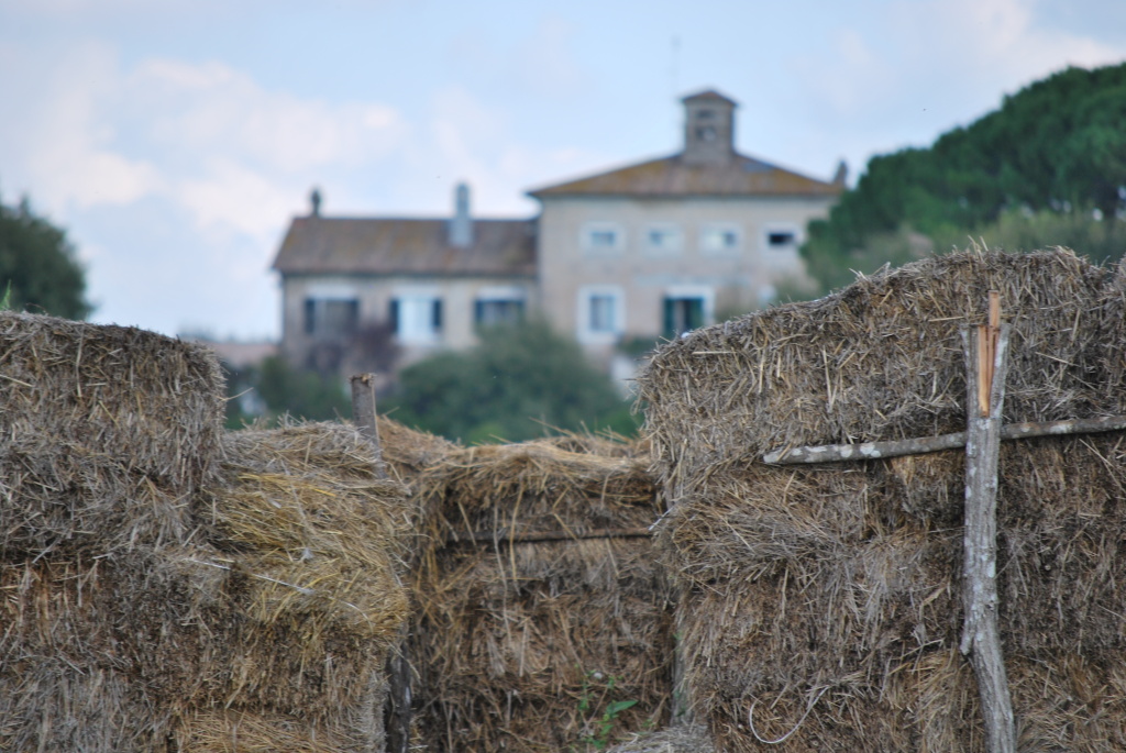 Fattoria Fiorano Casale