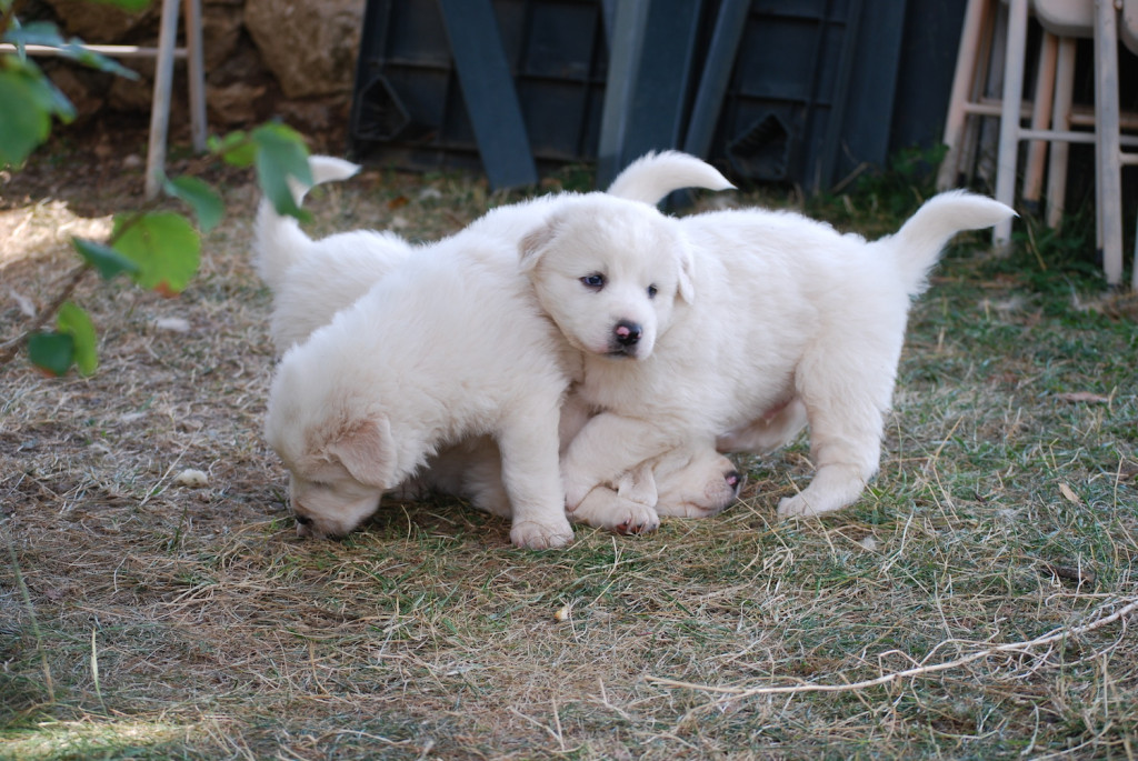 Estate con Bambini: Mare o Montagna - Abruzzo