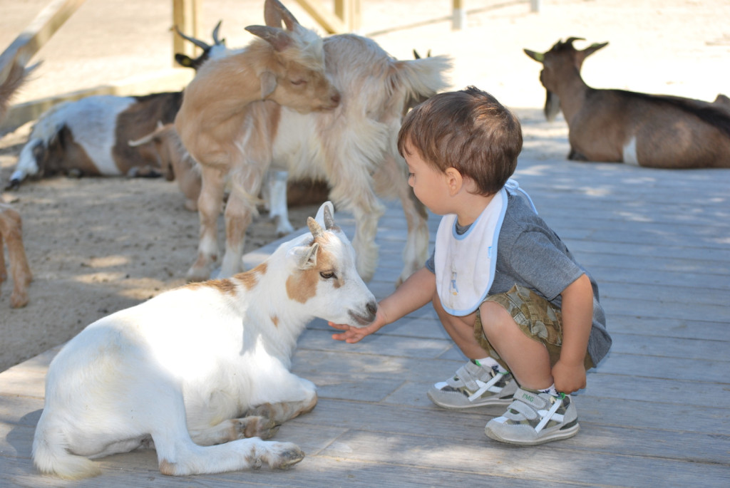 Parco Naturale  _slow tourism