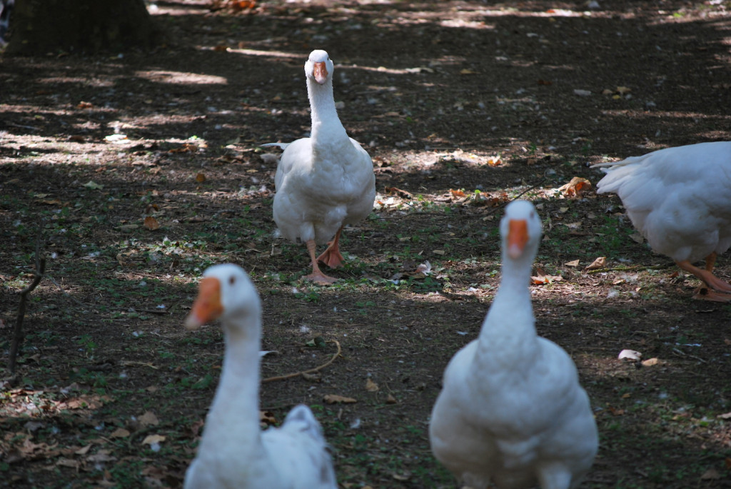 Parco Naturale _slow tourism